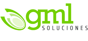 GML Soluciones: Venta de Siscont y Diseños Páginas Web en Perú