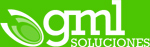 Logotipo de GML Soluciones